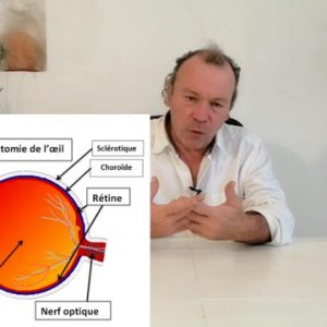 L'anatomie de l'oeil