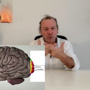 Le fonctionnement de l'oeil