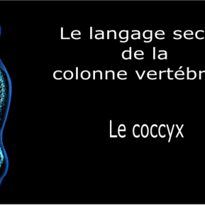 Code et symbole du Coccyx