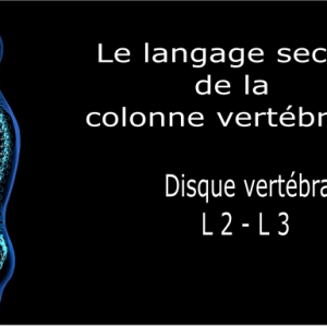 Code et symbole du disque inter-lombaire L2 / L3