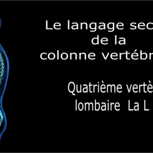 Code et symbole de la quatrième vertèbre lombaire L4