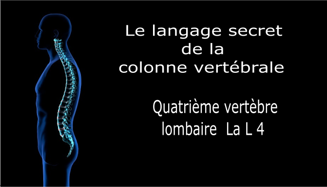 Code Et Symbole De La Quatri me Vert bre Lombaire L4 Centre Lurio Code Et Symbole De La Quatri me Vert bre Lombaire L4 Centre Lurio
