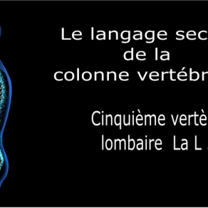 Code et symbole de la cinquième vertèbre lombaire L5