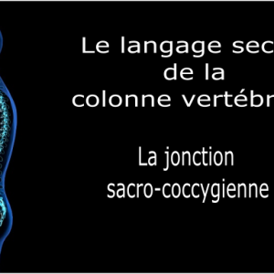 Code et symbole de la jonction sacro-coccygienne Sacrum / Coccyx