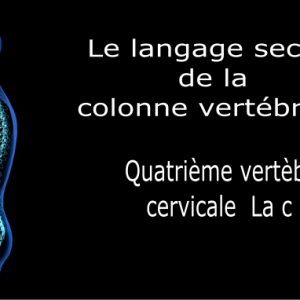 Code et symbole de la quatrième vertèbre cervicale C4
