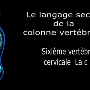 Code et symbole de la sixième vertèbre cervicale C6