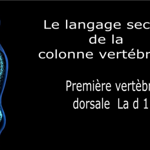 Code et symbole de la première vertèbre dorsale D1