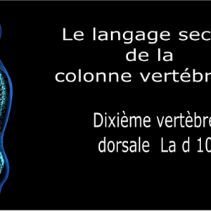 Code et symbole de la dixième vertèbre dorsale D10