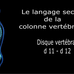 Code et symbole du disque inter-dorsal D11 / D12