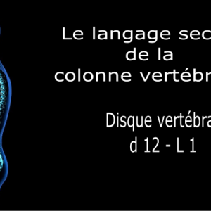 Code et symbole du disque dorso-lombaire D12 / L1