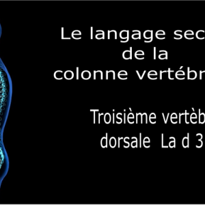Code et symbole de la troisième vertèbre dorsale D3