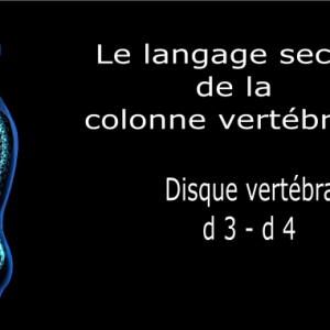 Code et symbole du disque inter-dorsal D3 / D4