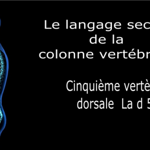 Code et symbole de la cinquième vertèbre dorsale D5