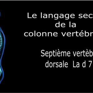 Code et symbole de la septième vertèbre dorsale D7