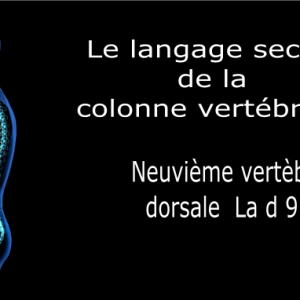 Code et symbole de la neuvième vertèbre dorsale D9